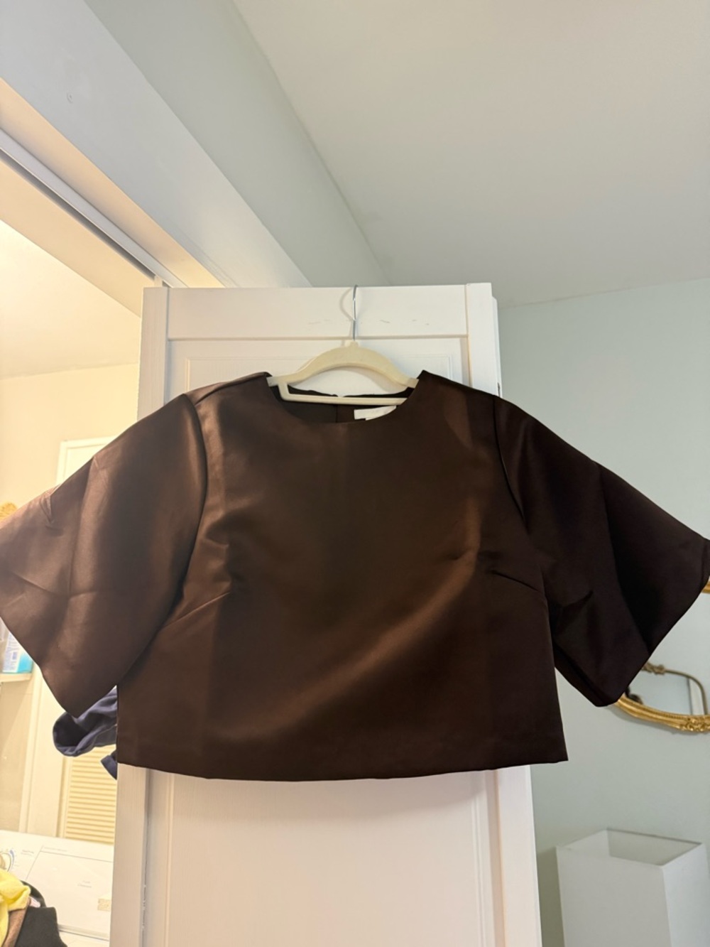 H&M Brown Silk Structured Top